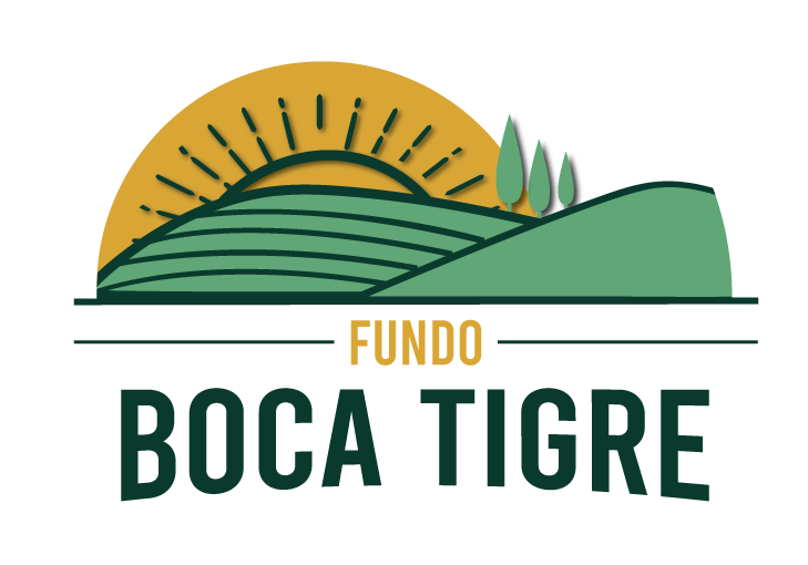 logo-bocatigre-